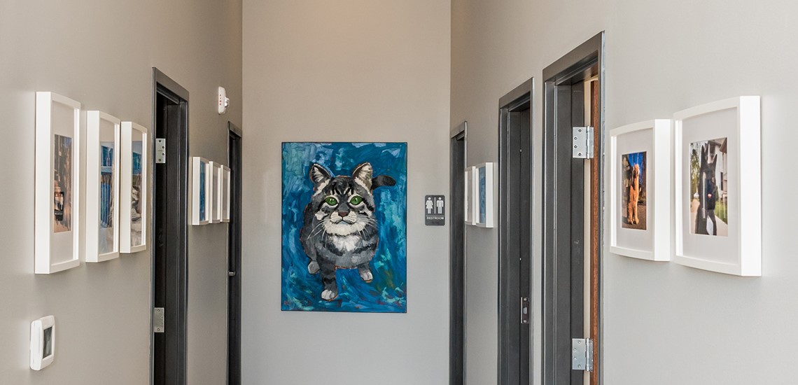 Hallway to Observation Rooms at Cat Care Clinic