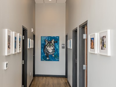 Hallway to Observation Rooms at Cat Care Clinic